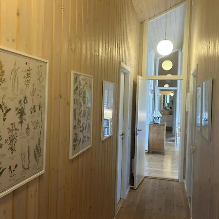 Schönes An Der Nordsee * Saltum